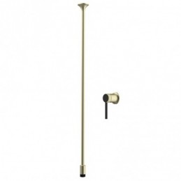 Geborsteld Goud Inbouw...