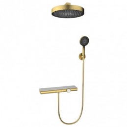 Geborsteld Goud Inbouw...