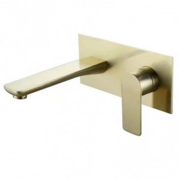 Geborsteld Goud Inbouw...