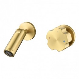Geborsteld Goud Inbouw...