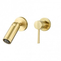 Geborsteld Goud Inbouw...