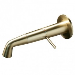 Geborsteld Goud Inbouw...